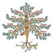 Professional Yoga Teacher Training